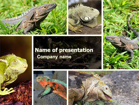 Iguana Presentation Template, Master Slide