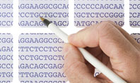 DNA Sequences Presentation Template