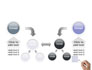 DNA Sequences slide 19