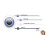 DNA Sequences slide 3