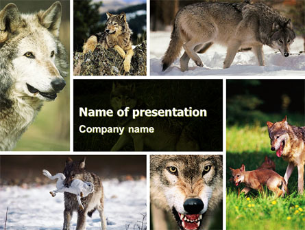 Wolf Presentation Template, Master Slide