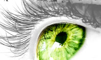 Green Eye Presentation Template