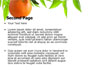 Orange Tree slide 2