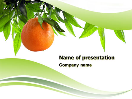 Orange Tree Presentation Template, Master Slide