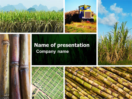 Sugar Cane Presentation Template, Master Slide