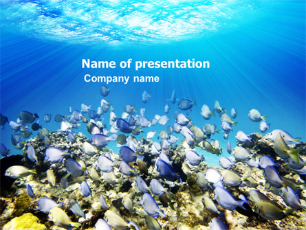 Coral Skerry Presentation Template, Master Slide