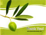 Olive Tree slide 20