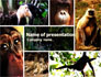 Primates slide 1