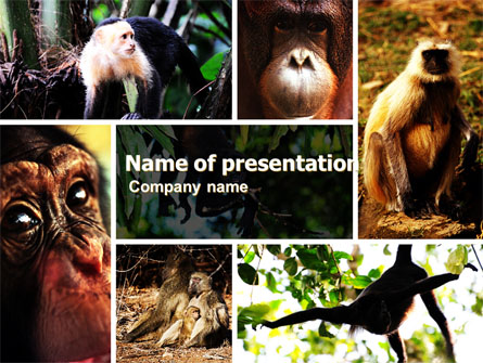 Primates Presentation Template, Master Slide