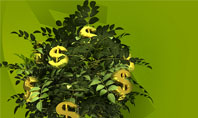 Money Tree In Pot Presentation Template