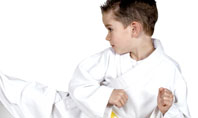 Karate Kid Presentation Template