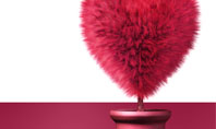 Fuchsia Heart Presentation Template