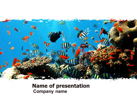 Coral Ledge Presentation Template, Master Slide