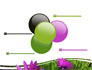 Violet Flowers slide 10