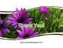 Violet Flowers slide 20