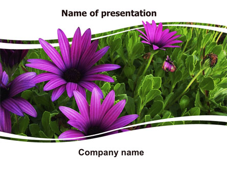 Violet Flowers Presentation Template, Master Slide