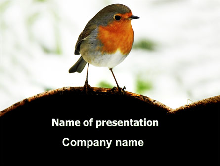 Robin Presentation Template, Master Slide