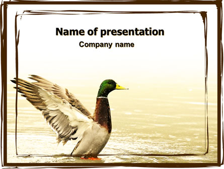 River Duck Presentation Template, Master Slide
