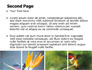 Hummingbird slide 2