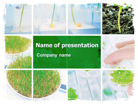 Plant Breeding In Laboratory Free Presentation Template, Master Slide