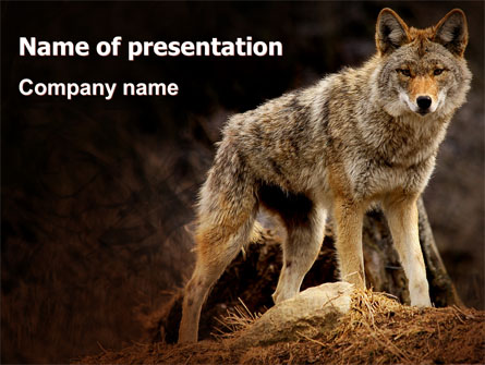 Coyote Presentation Template, Master Slide
