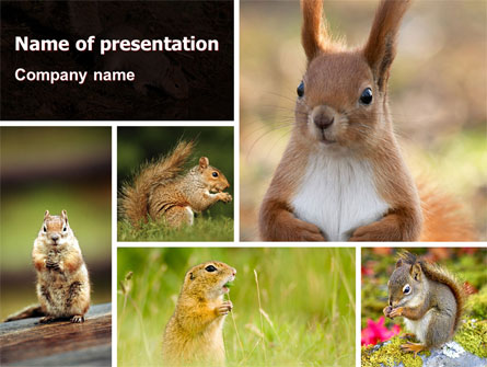 Squirrel Presentation Template, Master Slide