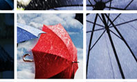 Umbrella Mania Presentation Template