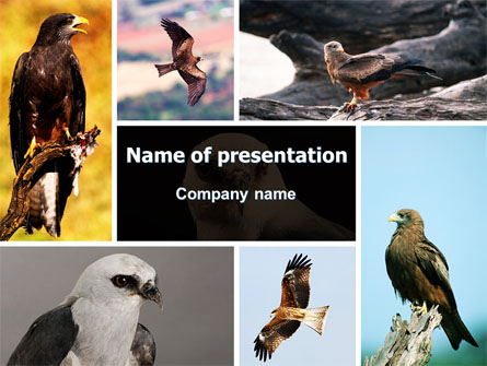 Bird Of Prey Presentation Template, Master Slide