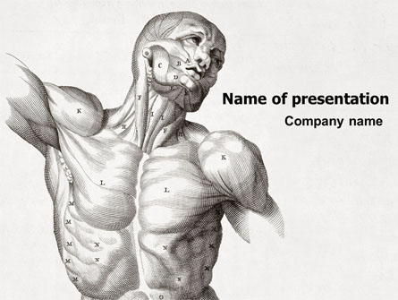 Body Muscles Presentation Template, Master Slide