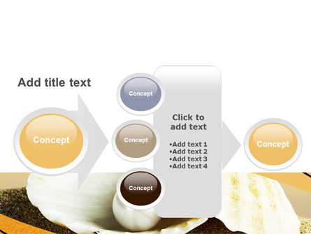 Pearl Shell Presentation Template for PowerPoint and Keynote | PPT Star