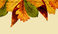 Autumn Leaves in Light Brown Palette Presentation Template