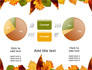 Autumn Leaves in Light Brown Palette slide 16
