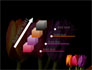 Colorful Tulips slide 14