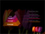 Colorful Tulips slide 4