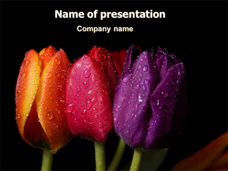 Colorful Tulips Presentation Template, Master Slide