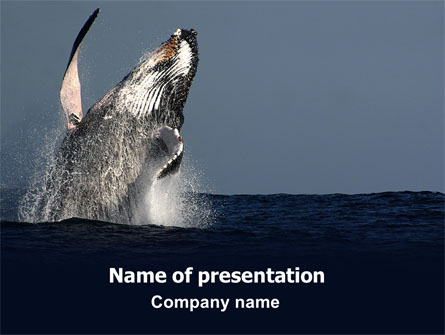 Humpback Whale Presentation Template, Master Slide
