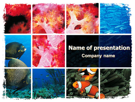 Sea Life Presentation Template, Master Slide