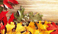 Autumn Leaves Frame Presentation Template