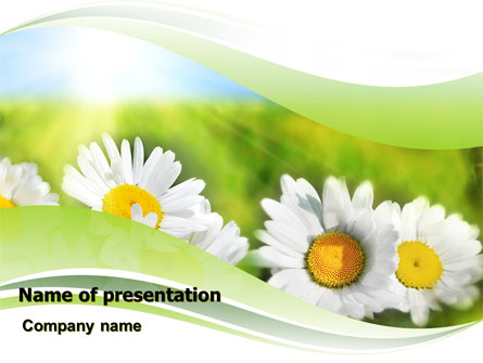 Camomile In The Fields Presentation Template, Master Slide