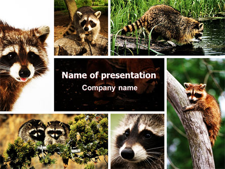 Raccoon Free Presentation Template, Master Slide