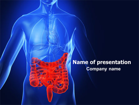 Intestines Presentation Template, Master Slide