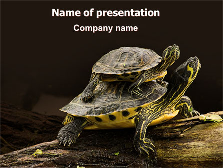 Two Turtles Presentation Template, Master Slide