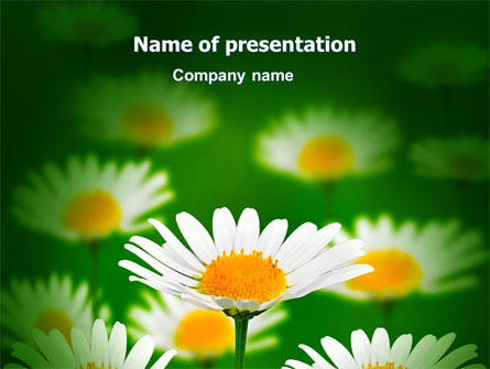 Daisy Meadow Free Presentation Template, Master Slide