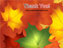 Autumn Leaves Theme slide 20