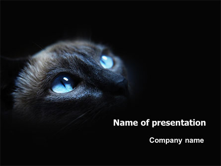 Cat Presentation Template, Master Slide