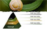 Snail Shell slide 12