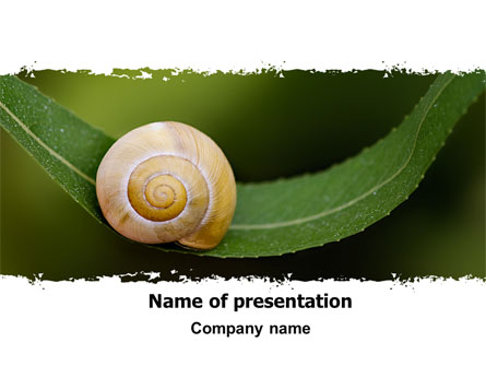 Snail Shell Presentation Template, Master Slide