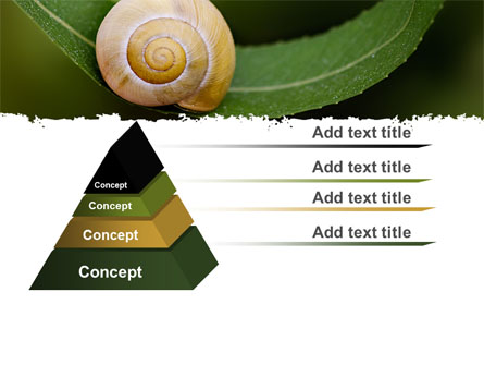 Snail Shell Presentation Template for PowerPoint and Keynote | PPT Star
