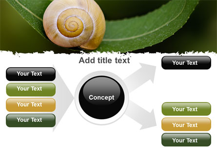 Snail Shell Presentation Template for PowerPoint and Keynote | PPT Star