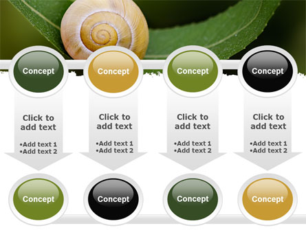 Snail Shell Presentation Template for PowerPoint and Keynote | PPT Star